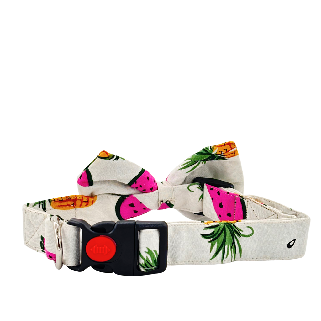 Petblush Watermelon And Pineapple Print Bow Collars For Dogs