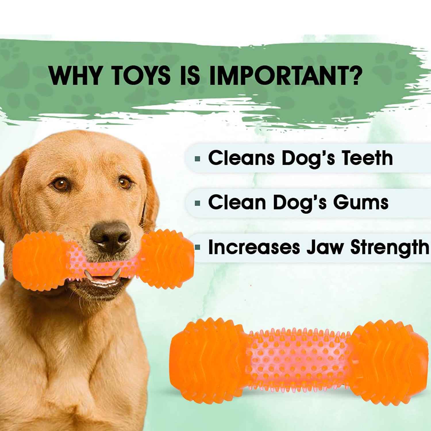 BASIL Dumbbell Toy with Hollow Centre for Treats