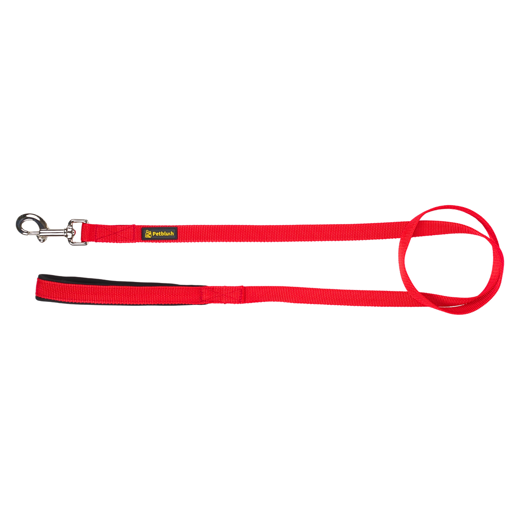 Petblush Everyday Dog Leash with Padded Handle