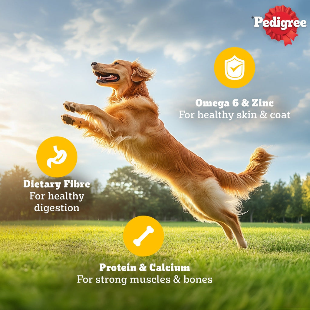 Pedigree Chicken and Liver Chunks in Gravy Adult Dog Wet Food (130g)
