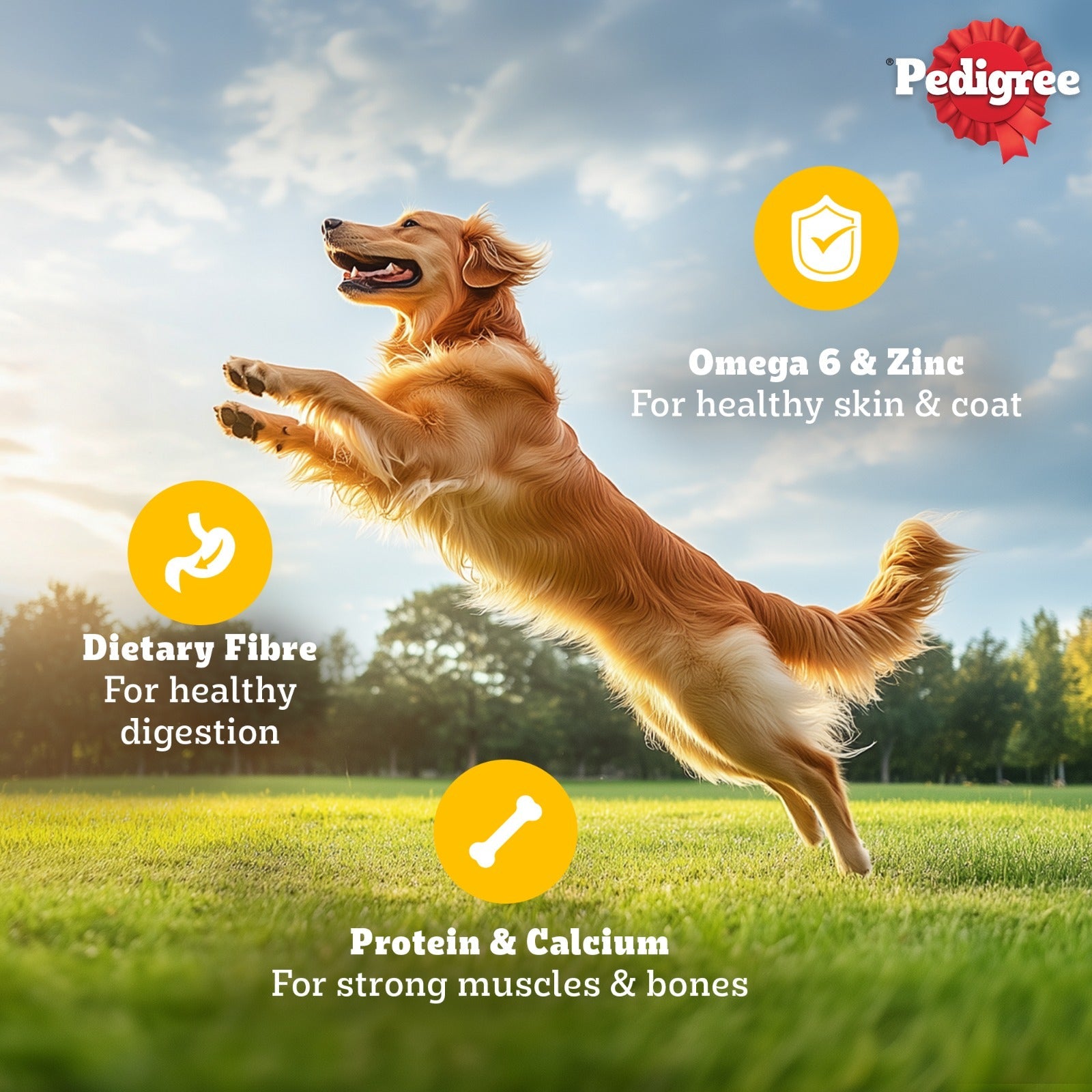Pedigree Chicken and Liver Chunks in Gravy Adult Dog Wet Food (130g)