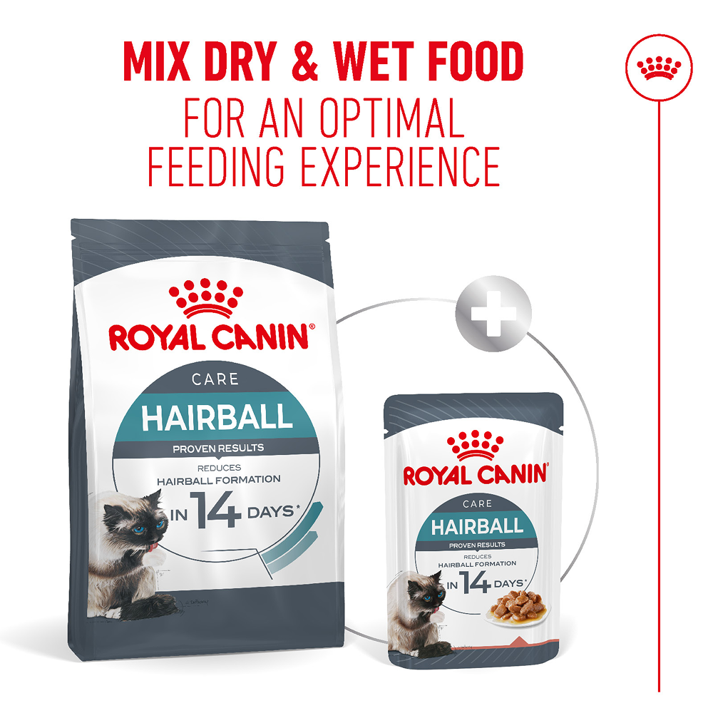 Royal Canin Hairball Care Food for Adult Cat Dry Food