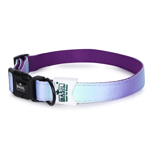 Basil Adjustable Padded Collar for Dogs (Purple/Blue)