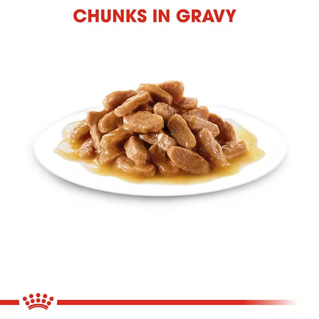 Royal Canin Mini Puppy Dog Wet Food