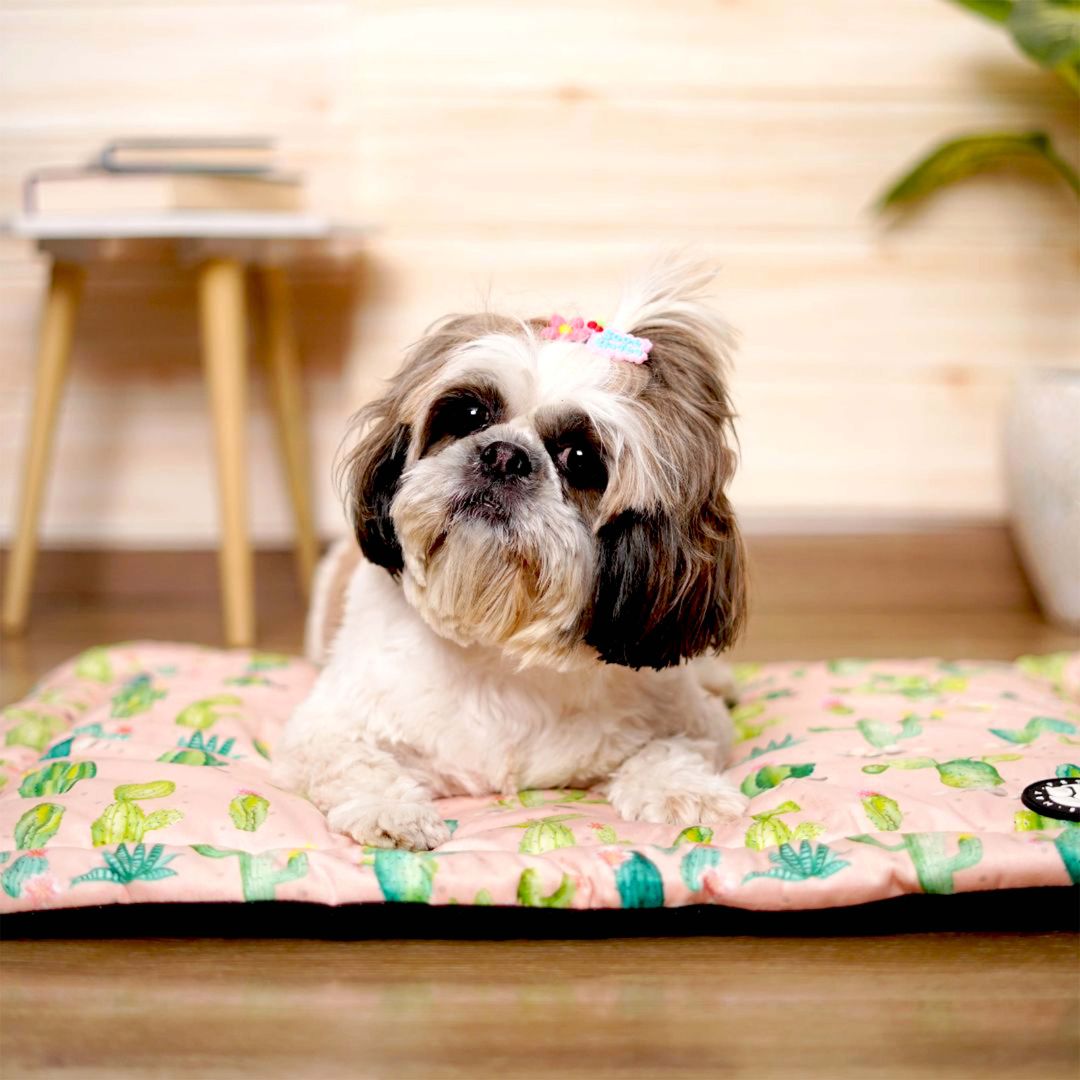 Desert Mat – Durable & Comfortable Pet Mat