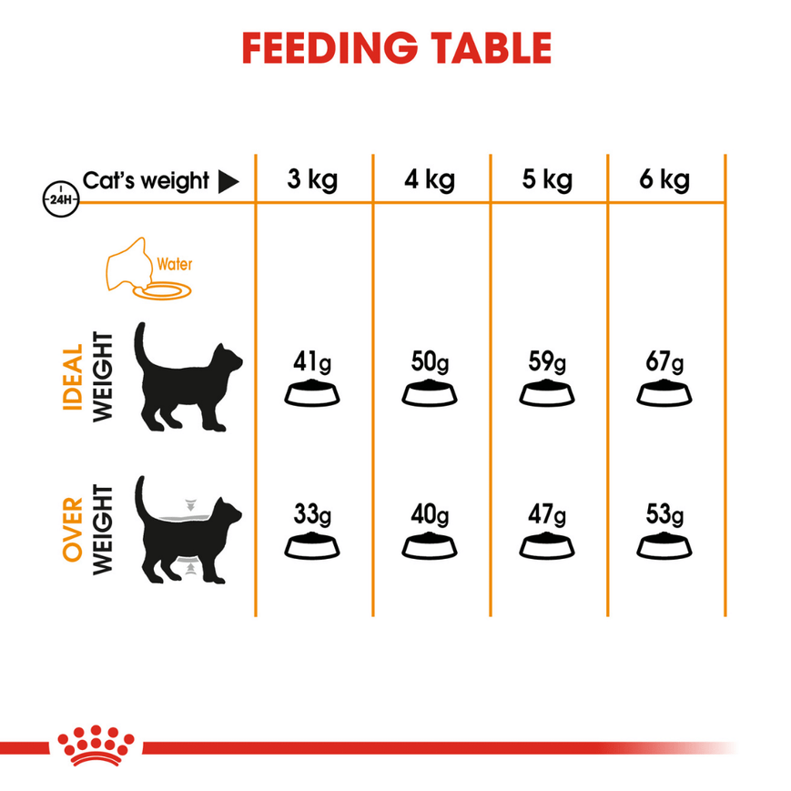 Royal Canin Skin & Hair Care for Adult Cats Dry Food