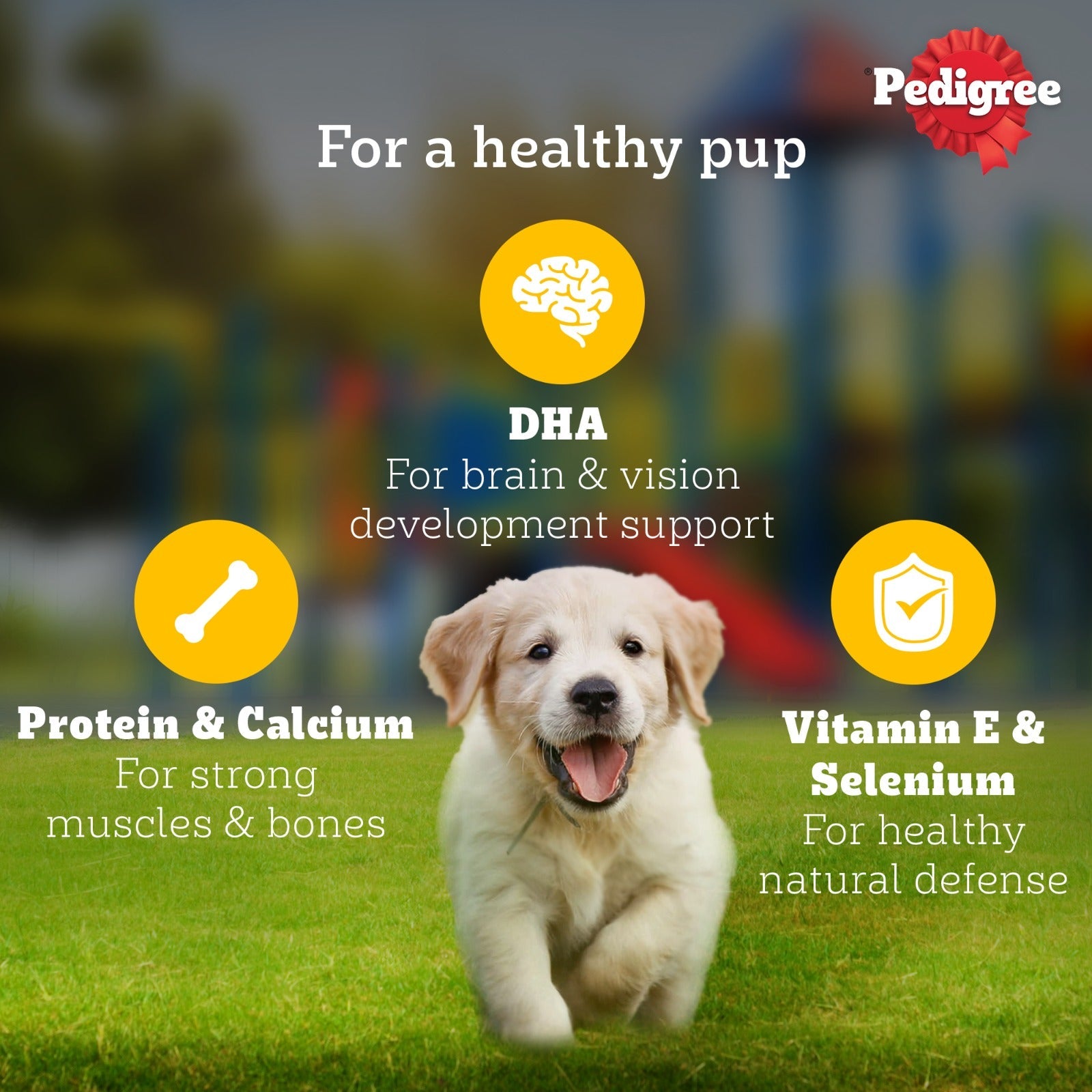 Pedigree Chicken and Liver Chunks in Gravy Pouch Puppy Dog Wet Food (130g)