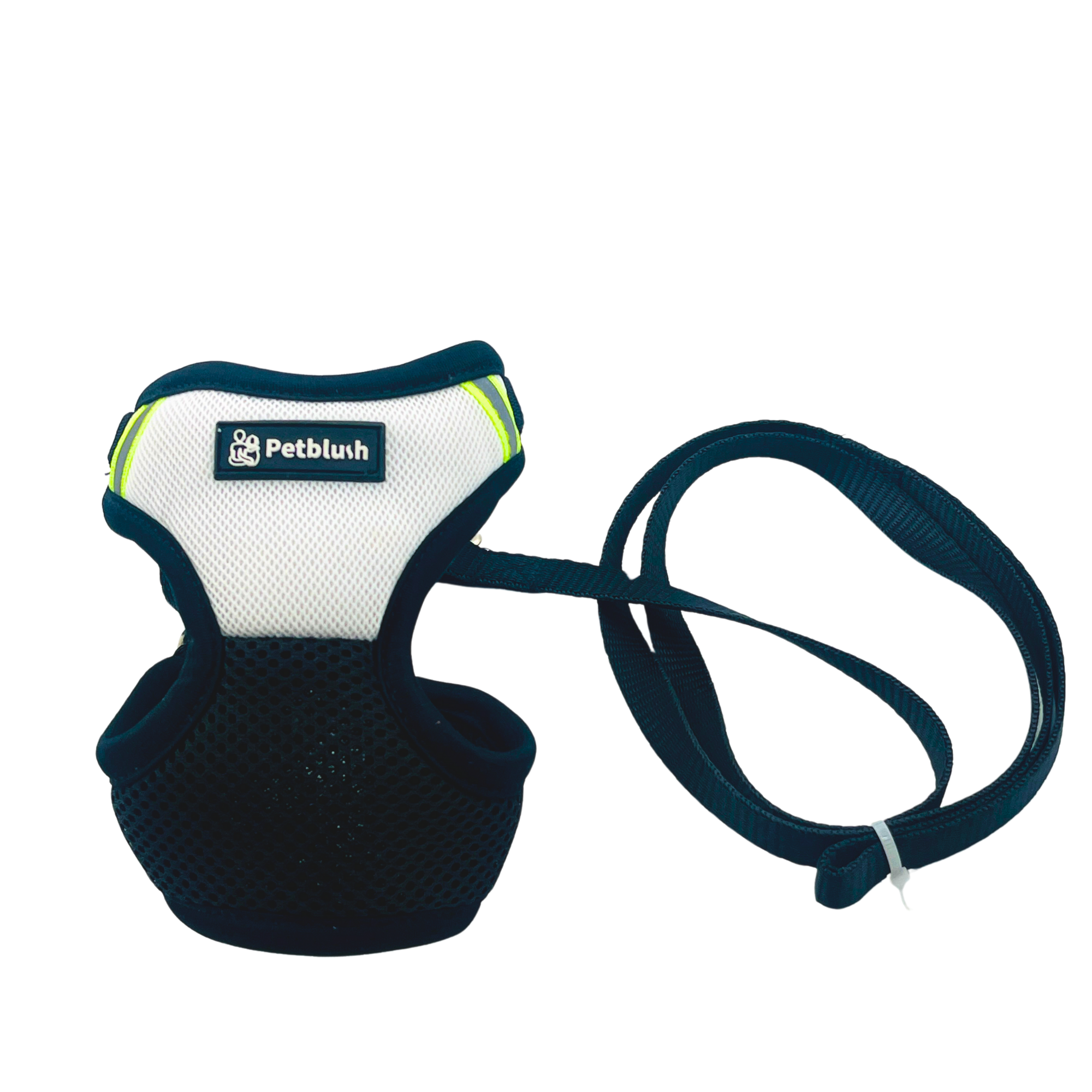 Petblush Dual Color Net Harness Set for Puppies & Cats