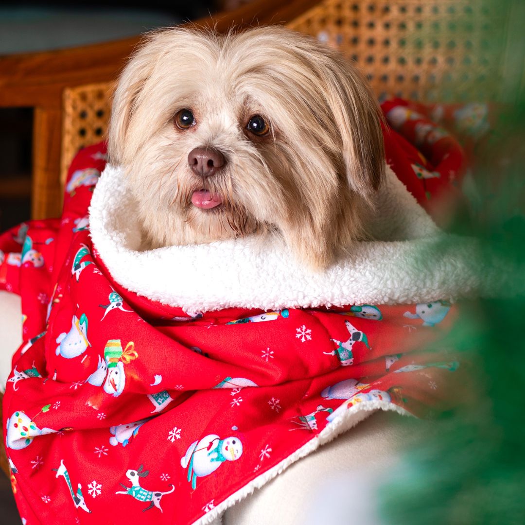 Santa Party Blanket