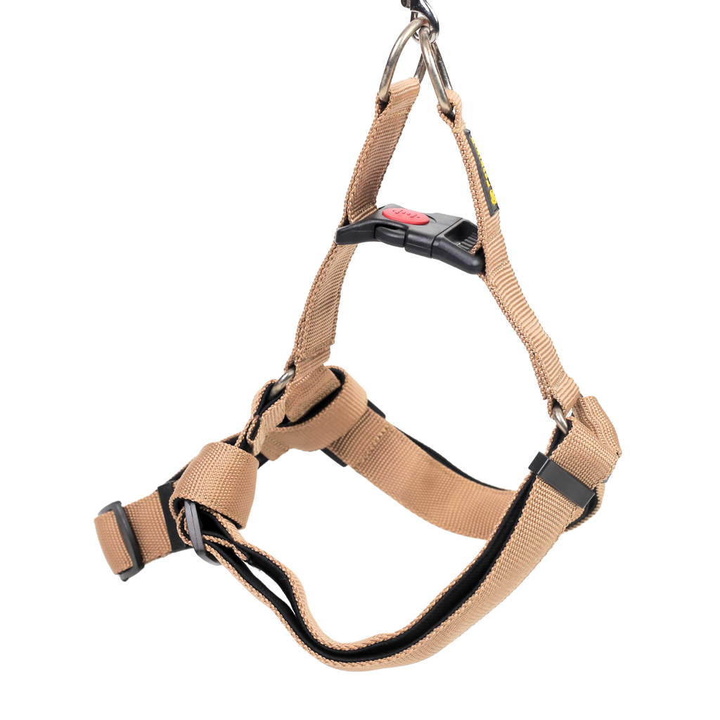 Petblush Padded Y Harness With Lock Buckle For Dogs