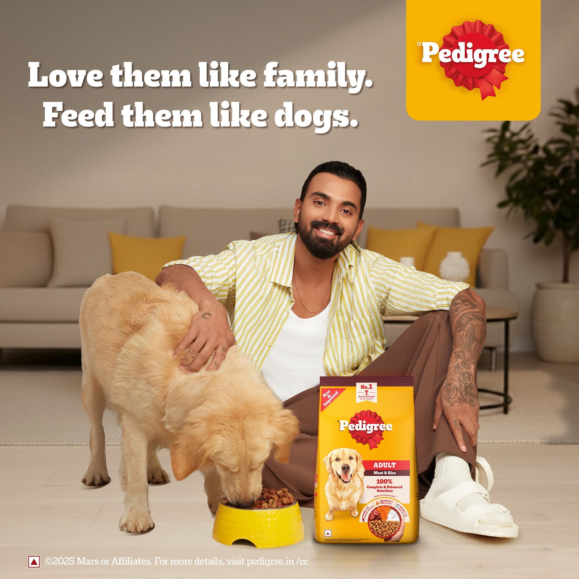 Pedigree Meat & Rice Adult Dog Dry Food