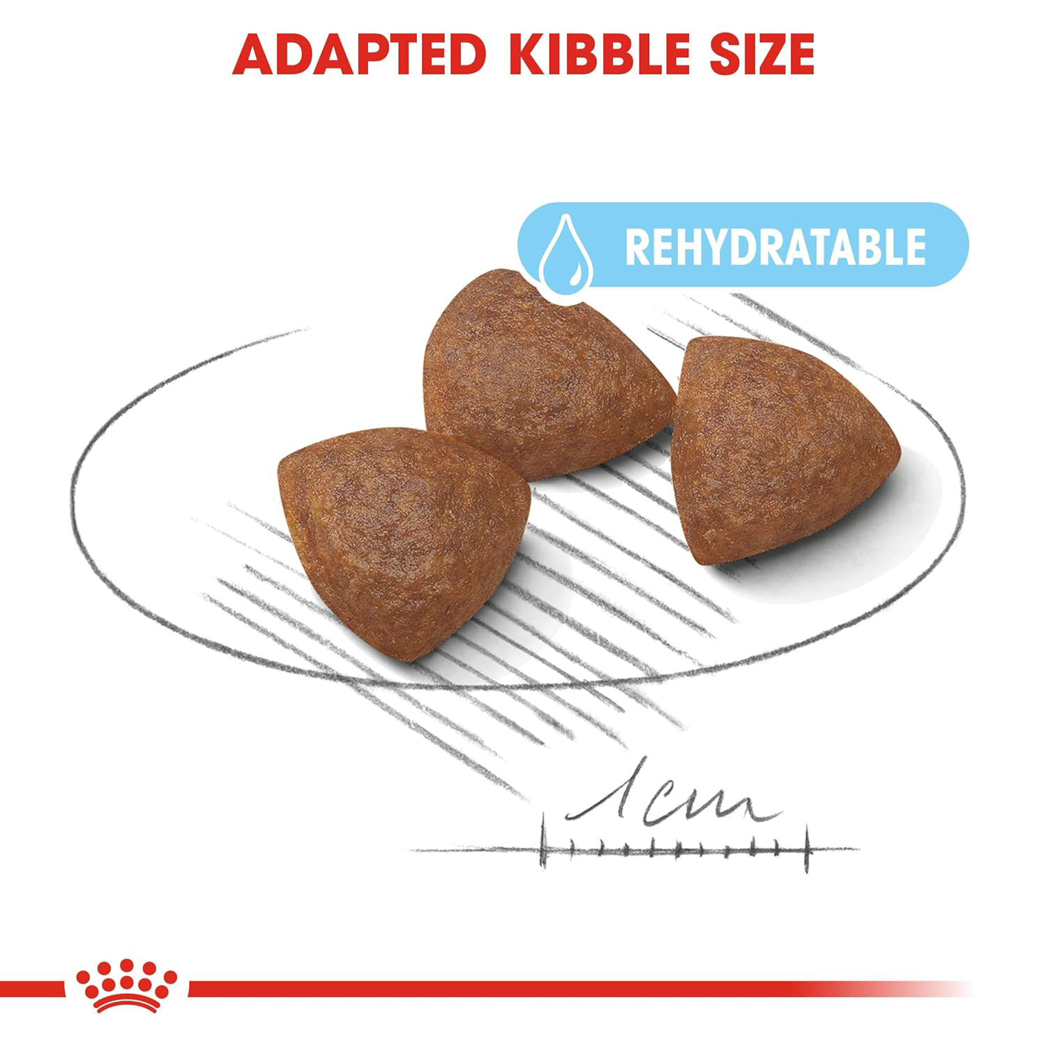 Royal Canin Medium Starter, Mother & Babydog Dry Food