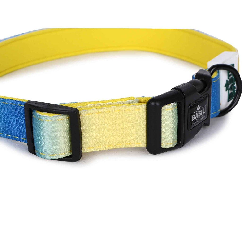 Padded Adjustable Collar for Dogs, Cats & Puppies (Blue & Yellow)