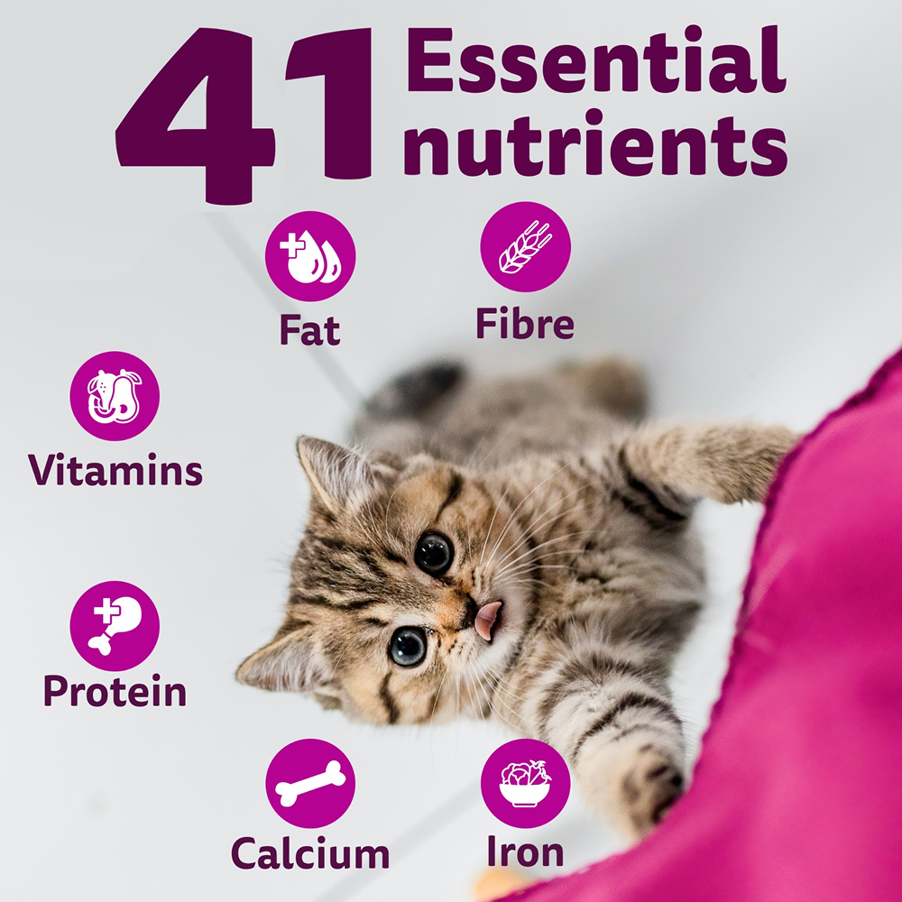 Whiskas Ocean Fish Kitten/Mother and Baby Cat Dry Food
