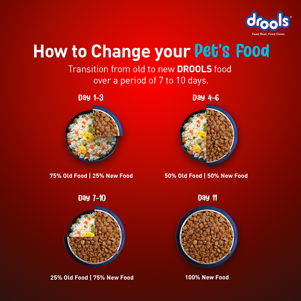 Drools Fish and Rice Adult Dog Dry Food