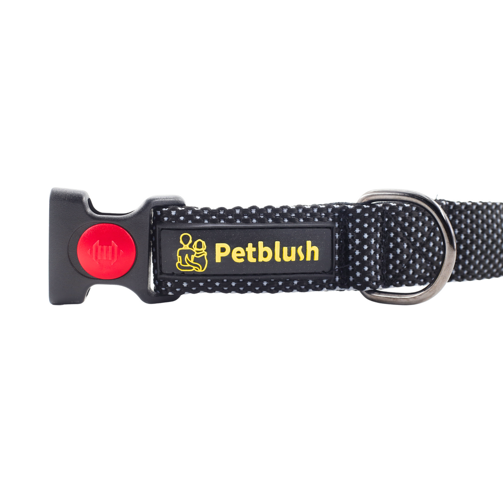 Petblush Dotted Padded Collar With Lock Buckle