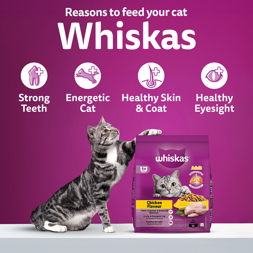 Whiskas Chicken Flavour Cat (Adult 1+) Dry Food