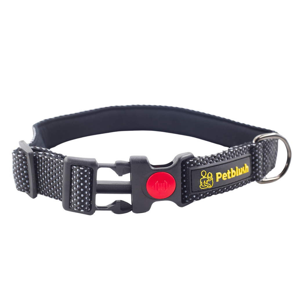 Petblush Dotted Padded Collar With Lock Buckle