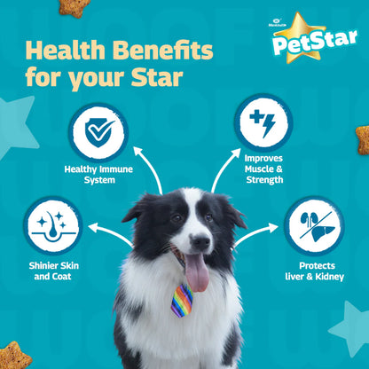 Mankind Petstar Chicken and Wheat Adult Dog Dry Food