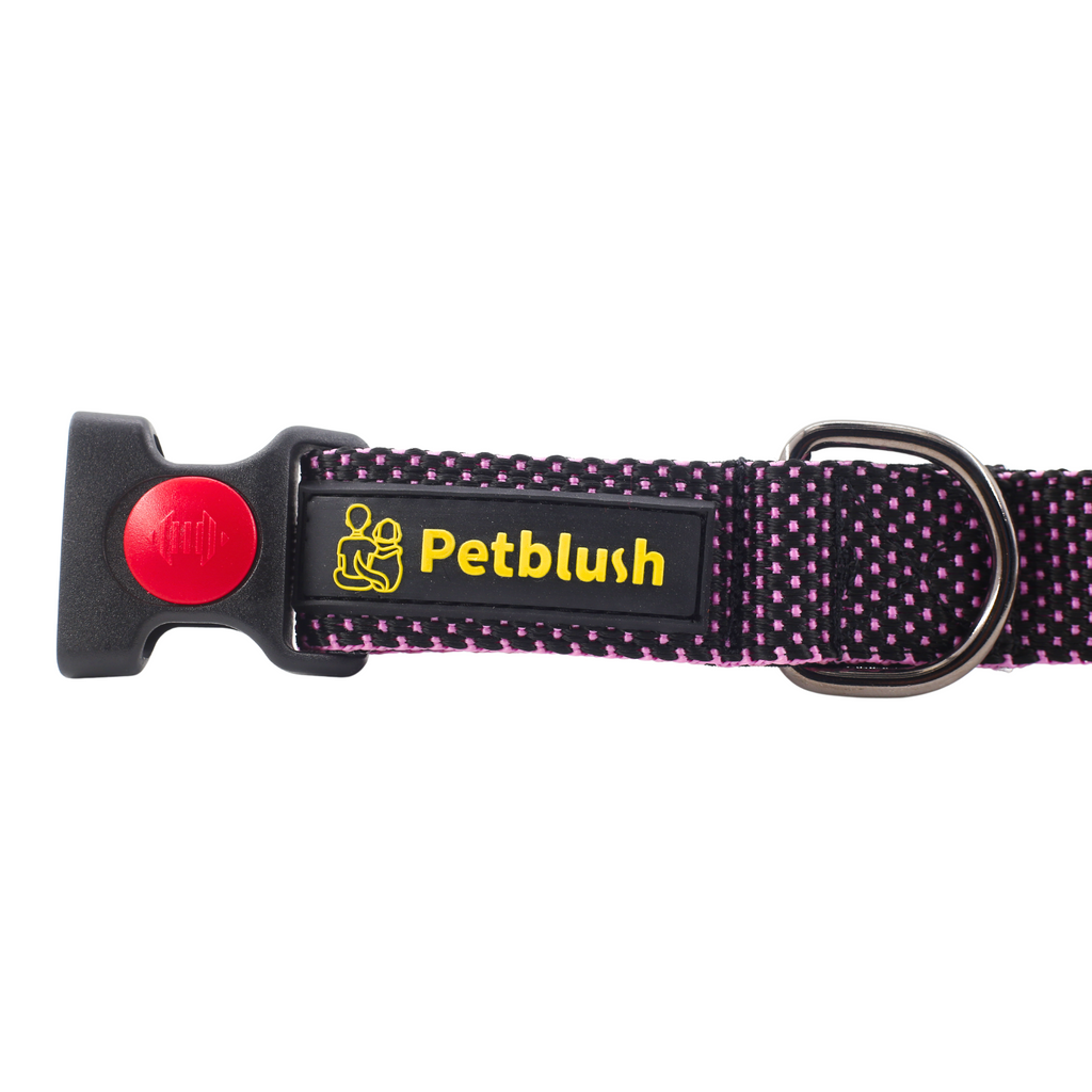 Petblush Dotted Padded Collar With Lock Buckle