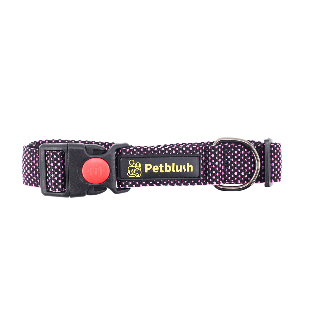 Petblush Dotted Padded Collar With Lock Buckle