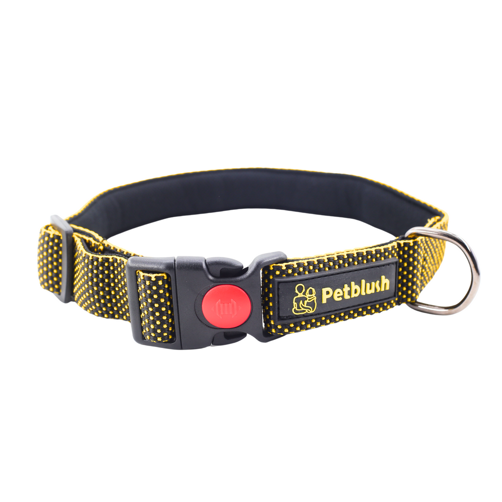 Petblush Dotted Padded Collar With Lock Buckle