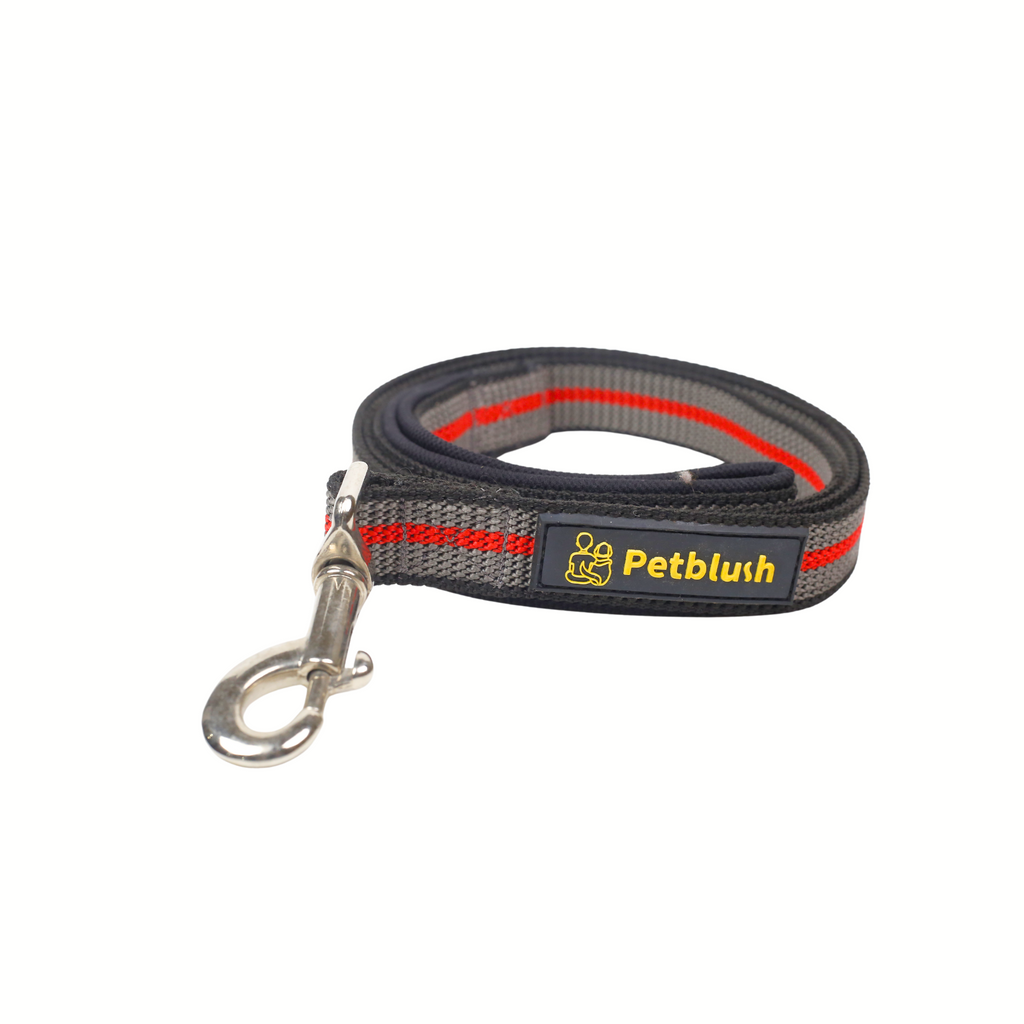 Petblush Tough Striped Leash For Dogs