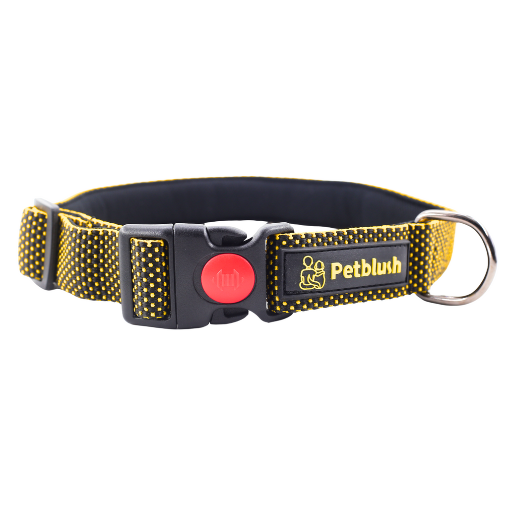 Petblush Dotted Padded Collar With Lock Buckle