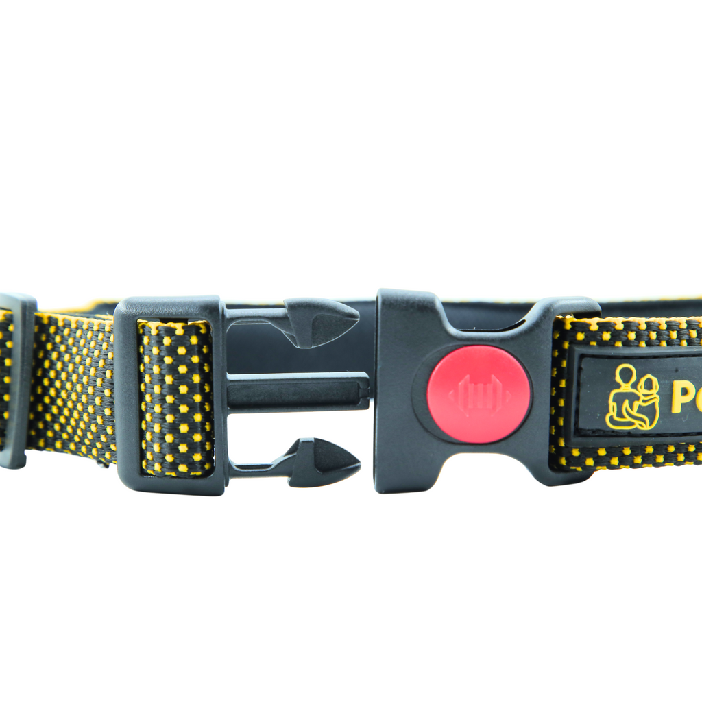 Petblush Dotted Padded Collar With Lock Buckle