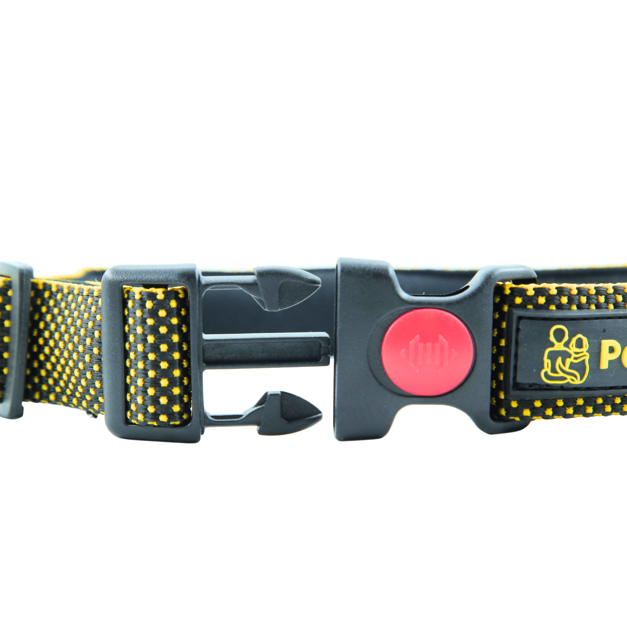 Petblush Dotted Padded Collar With Lock Buckle