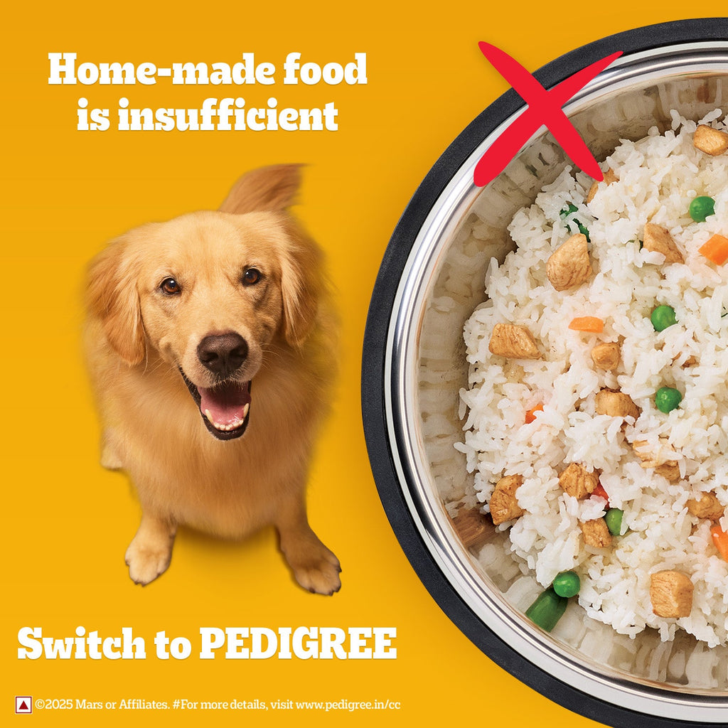 Pedigree Meat & Rice Adult Dog Dry Food
