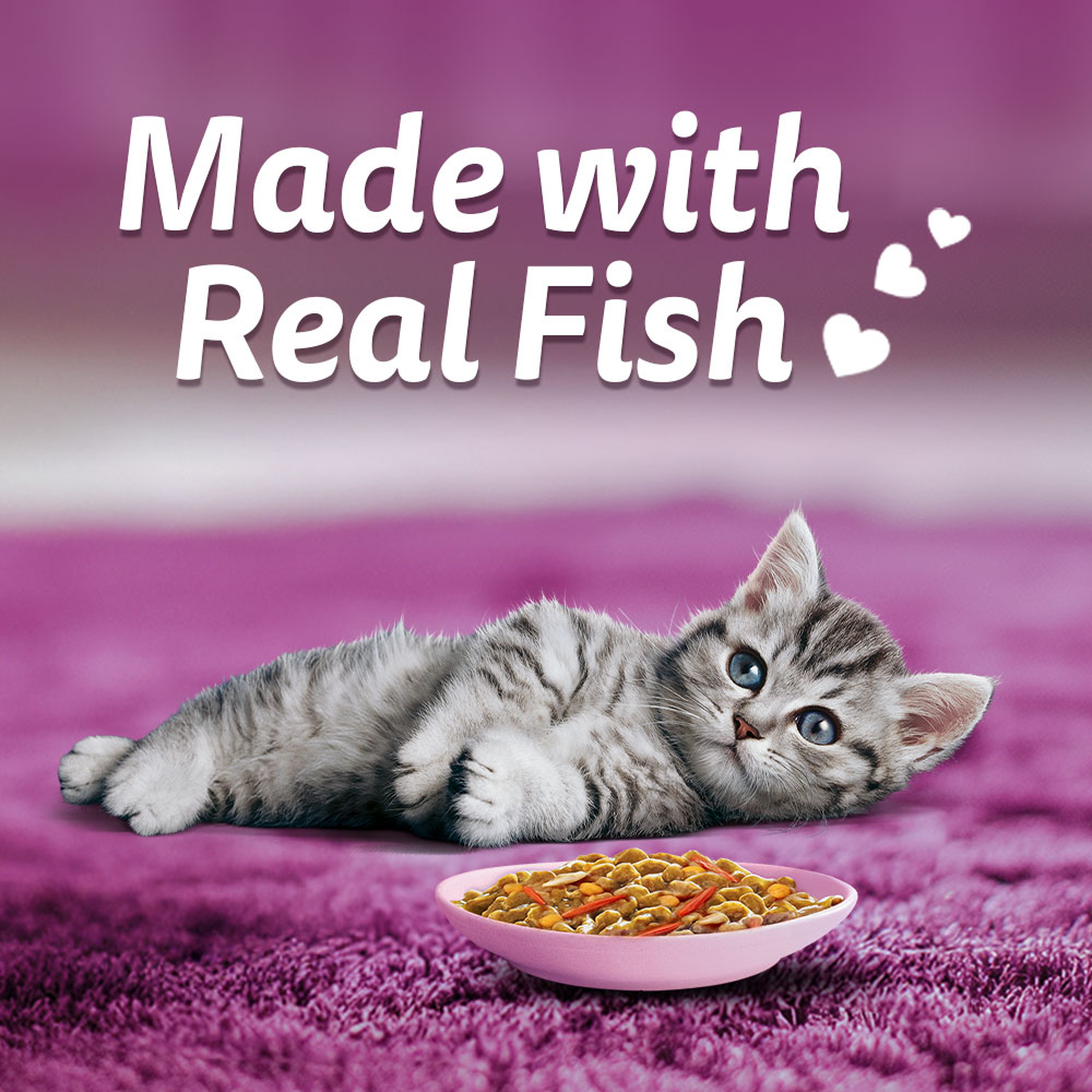 Whiskas Tasty Mix Seafood Cocktail Carrot Gravy Kitten Cat Wet Food