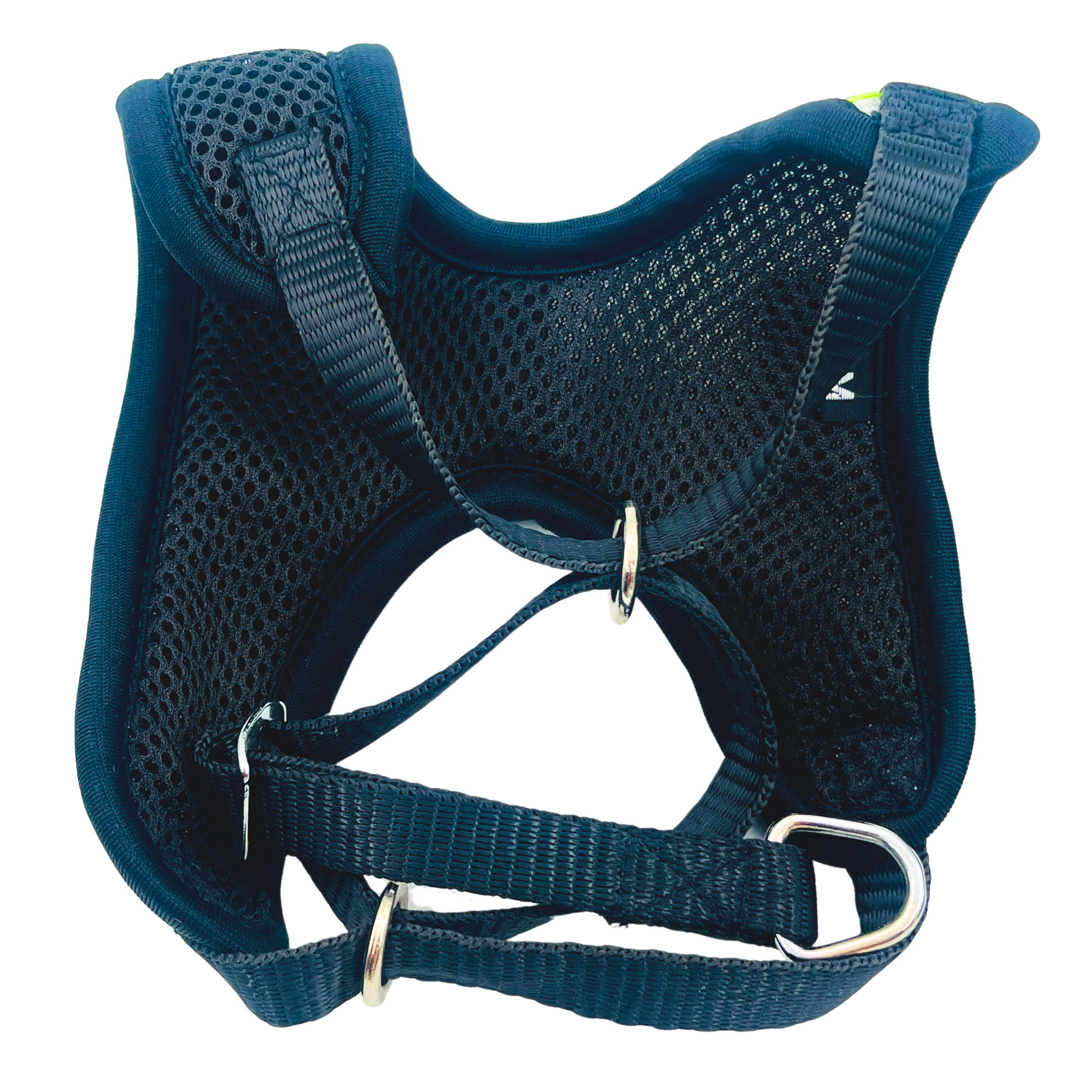 Petblush Dual Color Net Harness Set for Puppies & Cats
