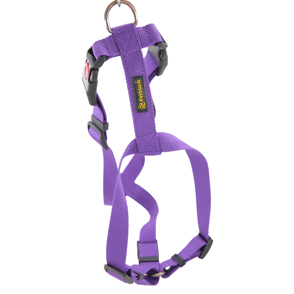Petblush Premium Solid H Harness with Lock Buckle
