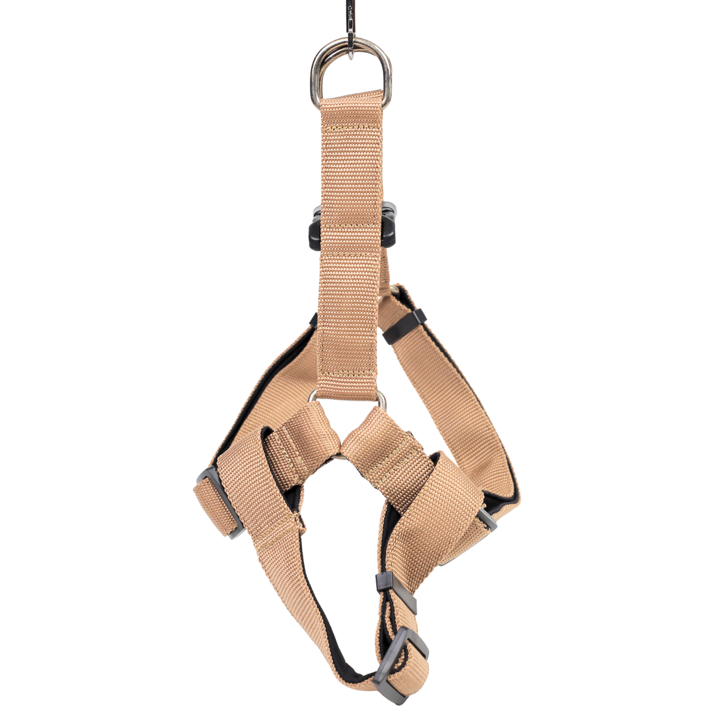 Petblush Padded Y Harness With Lock Buckle For Dogs