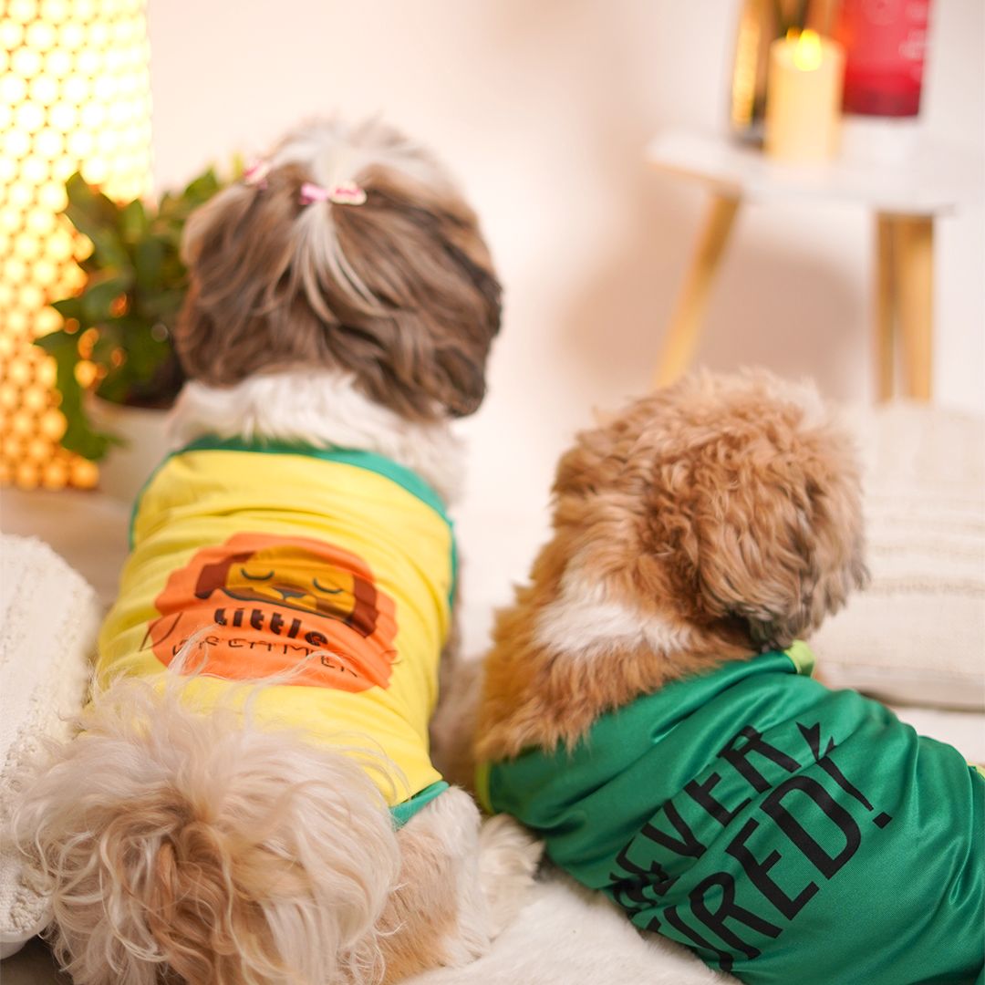 Never Tired Dog Vest