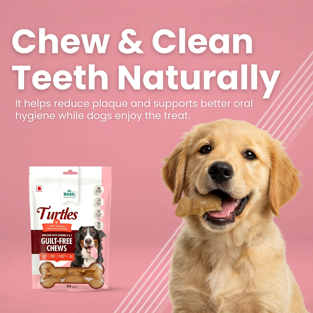BASIL Turtle with Peanut Butter Guilt-Free Treat for Dogs & Puppies | 94 Grams