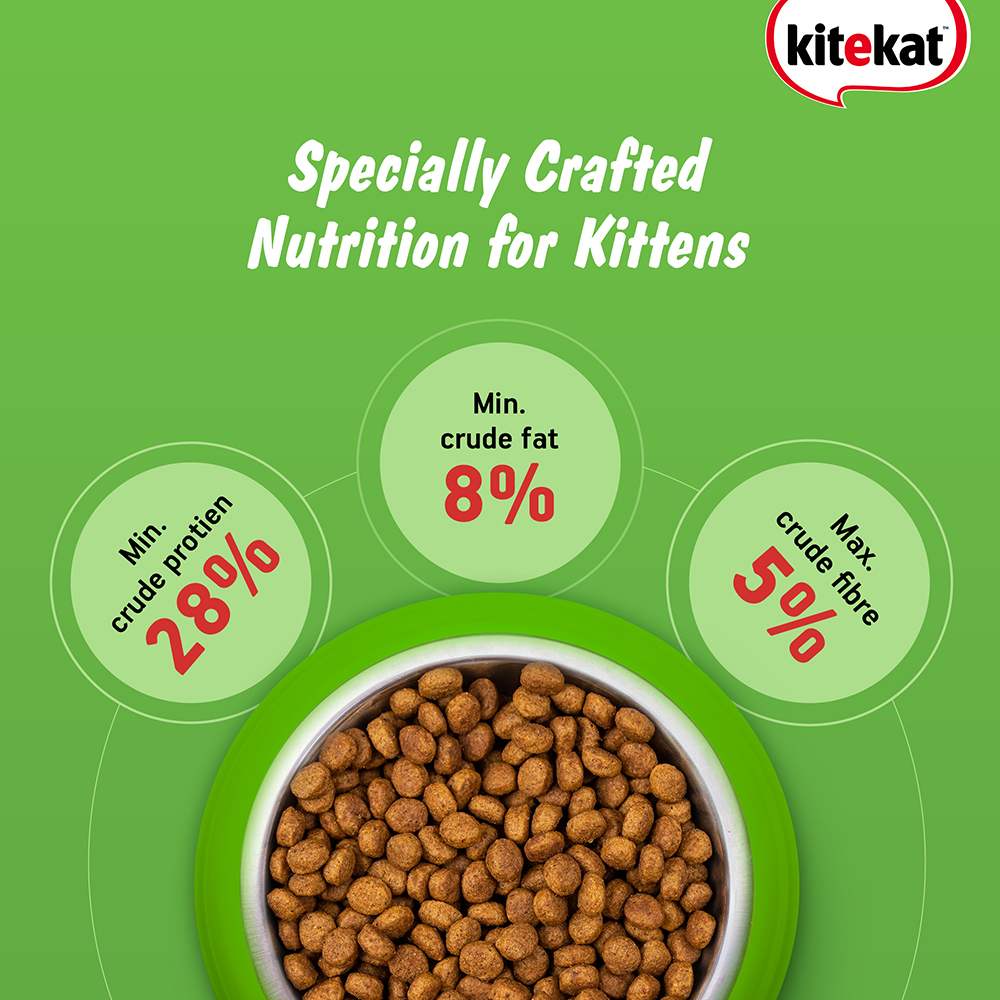 Kitekat Ocean Fish Kitten Dry Food