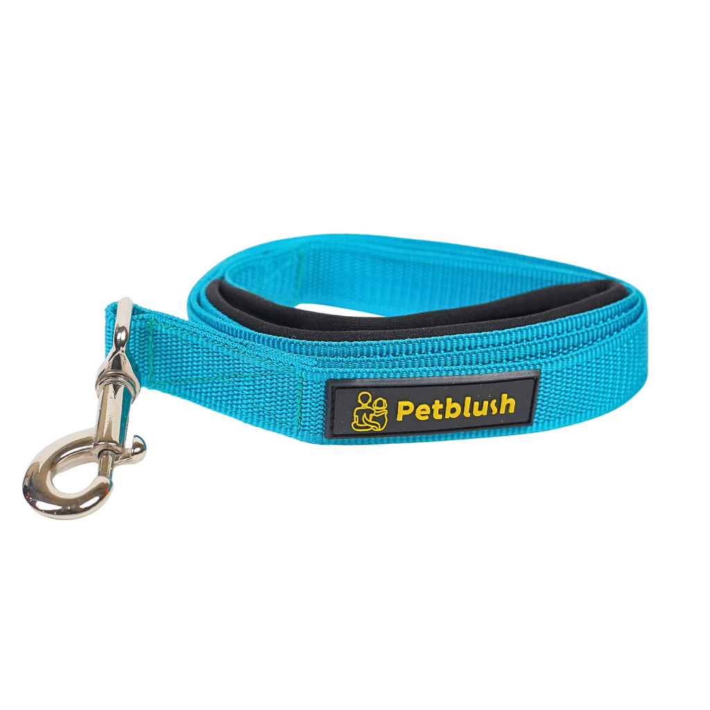 Petblush Everyday Dog Leash with Padded Handle