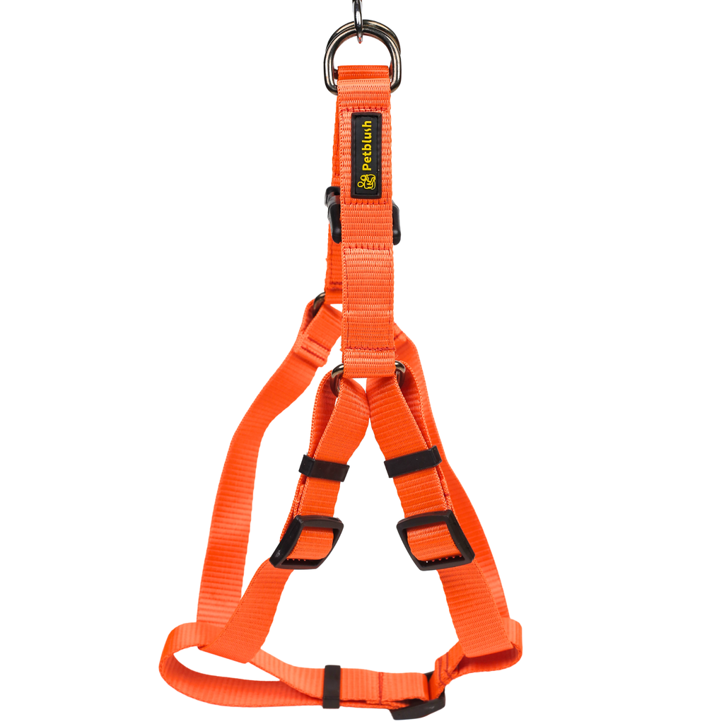 Petblush Y Harness with Lock Buckle For Dogs