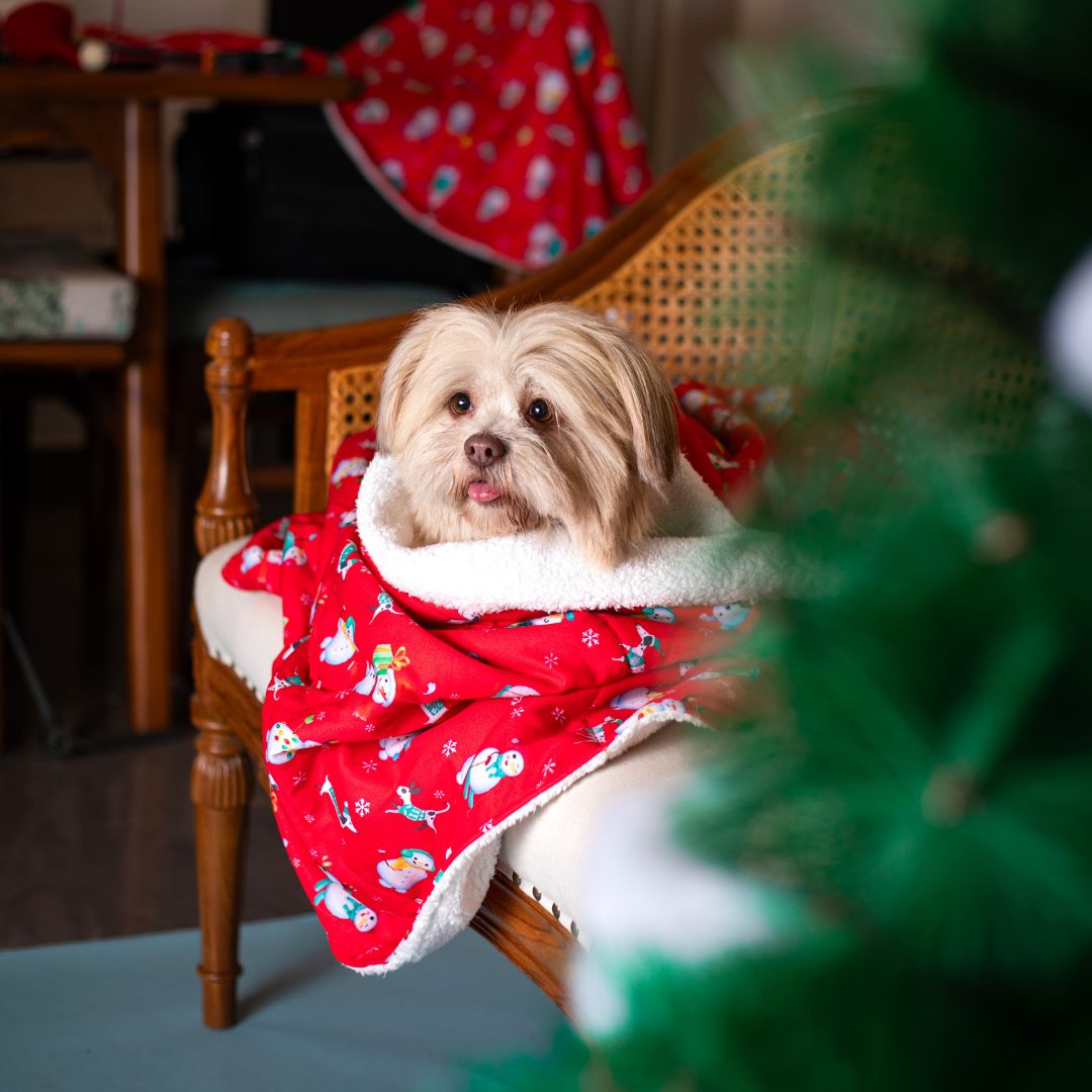 Santa Party Blanket