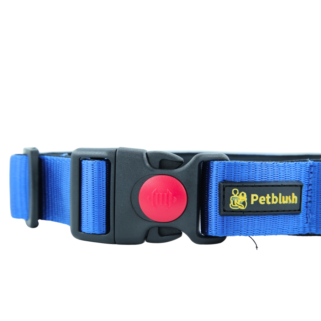 Petblush Bold Padded Collars with Lock Buckle