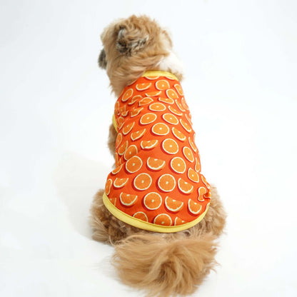 Fruity Dog Vest Combo