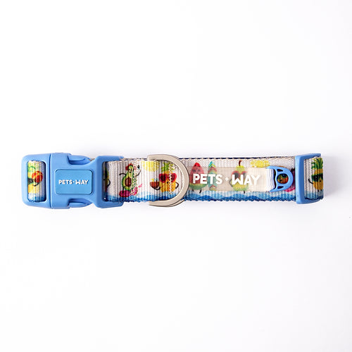 Summer Dog Collar