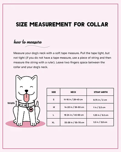 Peach Dog Collar