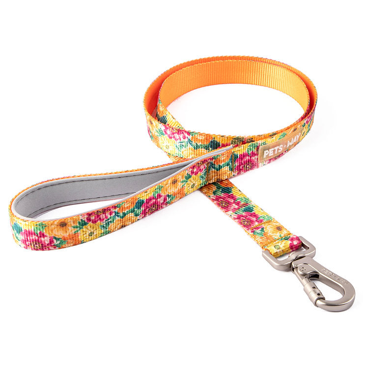 Spring Leash