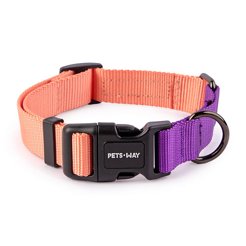 Peach & Amethyst - Dual Color Dog Collar