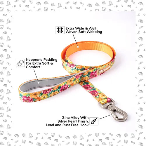 Spring Leash