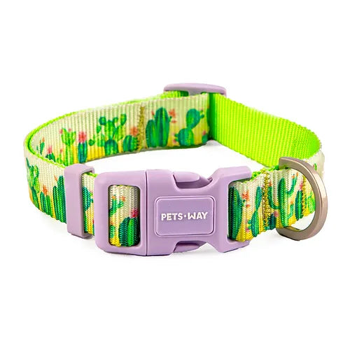 Desert Dog Collar