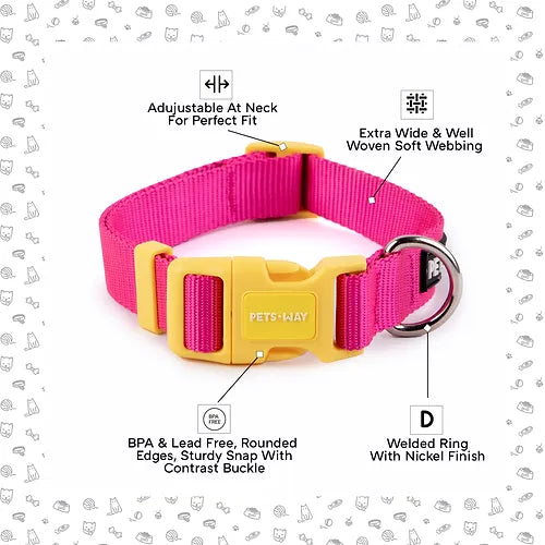 Fuschia Dog Collar